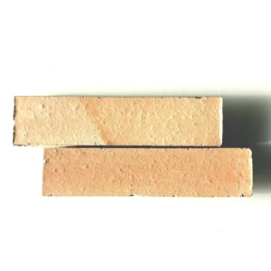 Briques de parements